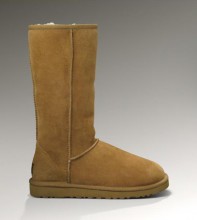 UGG Australia Women's Classic Tall, Chestnut 5815