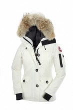 Canada Goose   Montebello -