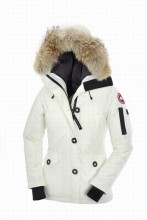 Canada Goose   Montebello 